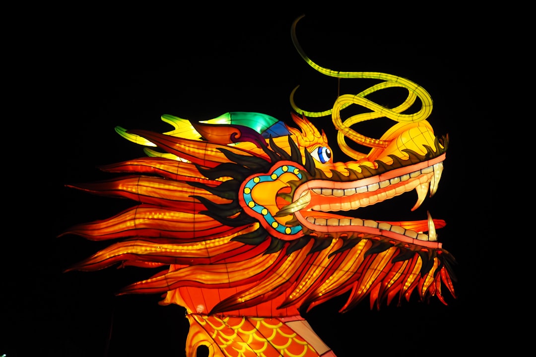 Photo Dragon Knight